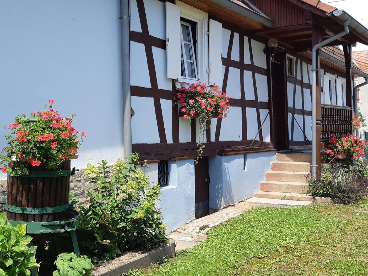 Cosy Holiday Home In Schleithal With Garden Екстер'єр фото