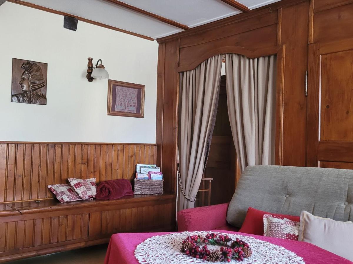 Cosy Holiday Home In Schleithal With Garden Екстер'єр фото